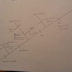 Cladogram lab blast fossil figure specimen dna where ap rhs biology step hypothesis draw evolutionary morphological species procedure initial form