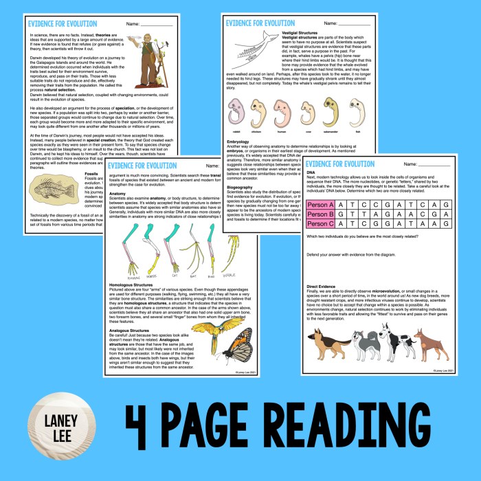 Evolution review worksheet answer key pdf