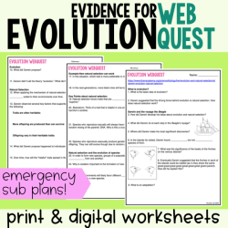 Evolution review worksheet answer key pdf