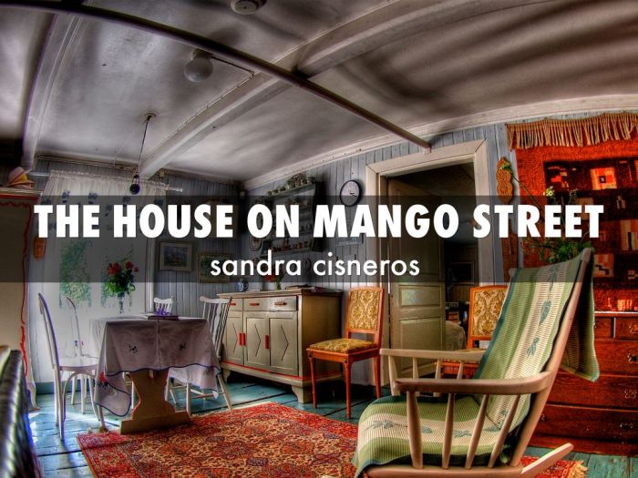 House on mango street sire