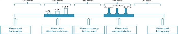 Ati bowel elimination post test