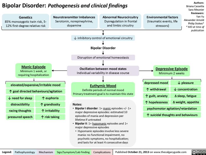 Bipolar 1 disorder case study