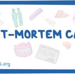 Mortem postmortem