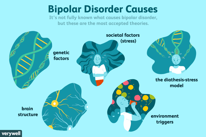 Bipolar 1 disorder case study