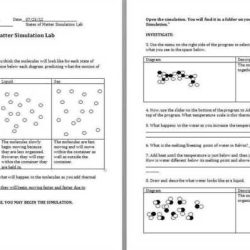 The statistics of inheritance pogil answer key