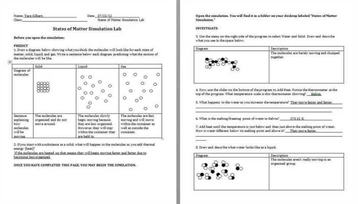 The statistics of inheritance pogil answer key