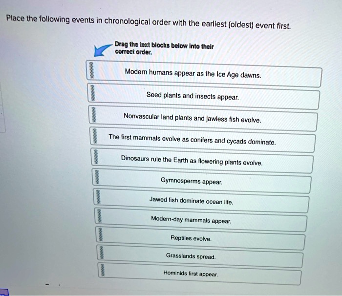 Place these events in chronological order based on causality