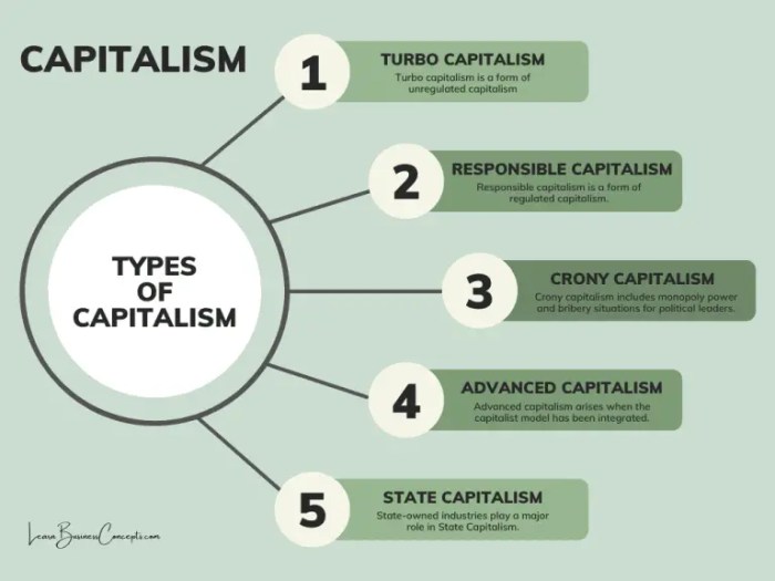 How does modified capitalism differ from pure capitalism