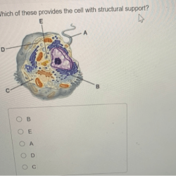 Provide support for the cell has two subparts