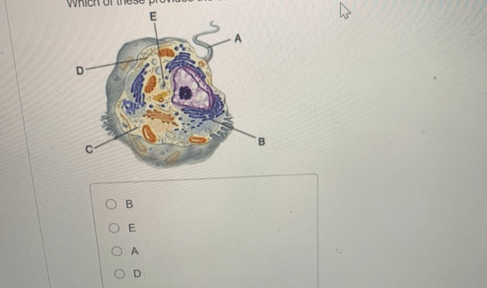 Provide support for the cell has two subparts