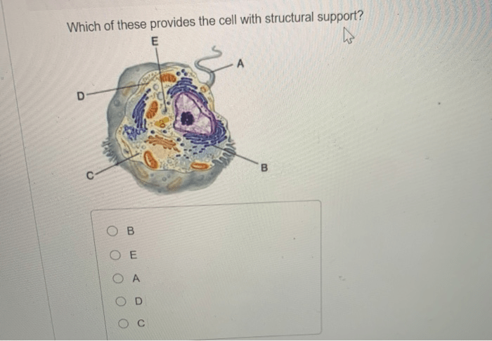 Provide support for the cell has two subparts