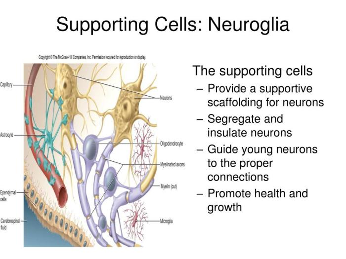 Provide support for the cell has two subparts